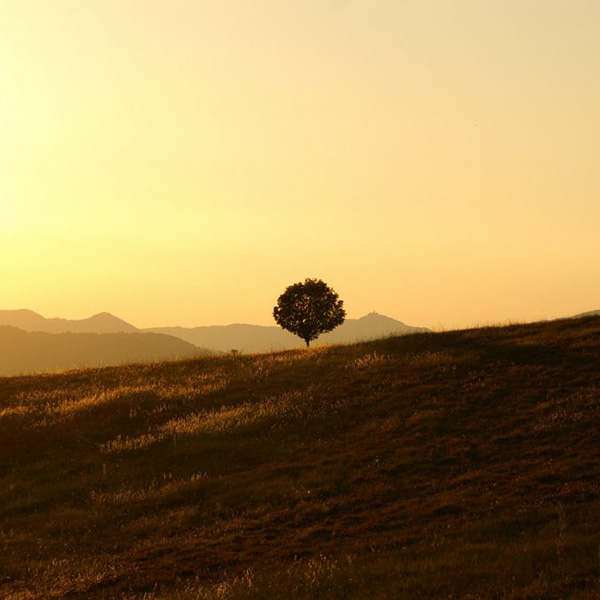 Madame Maryvonne DEVOS