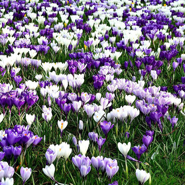 Monsieur Christian BONTE