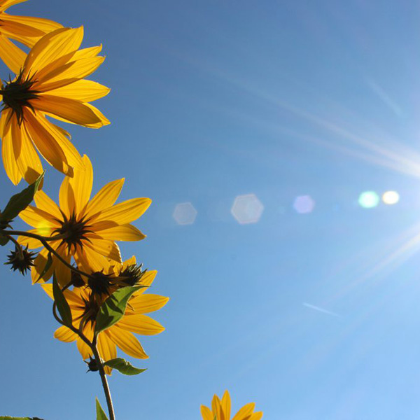 Monsieur Robert MARTIN