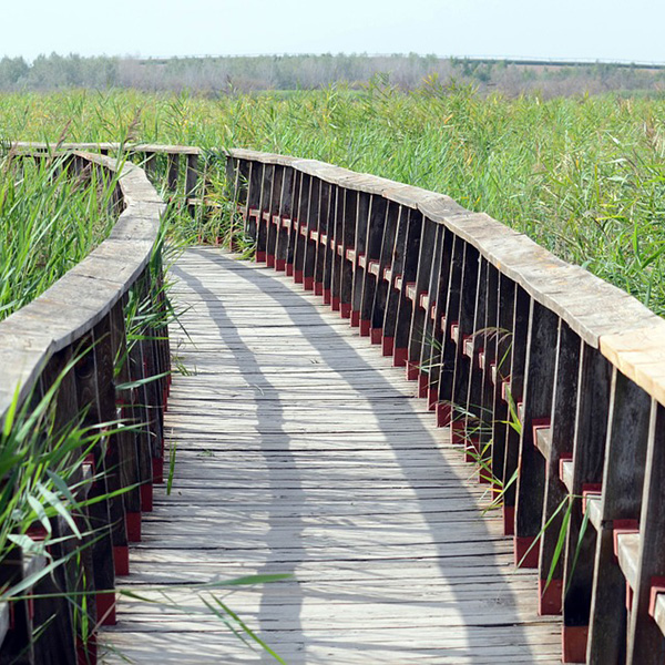 Monsieur Jean MONTOYA