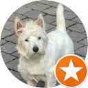 Branly E. profile picture
